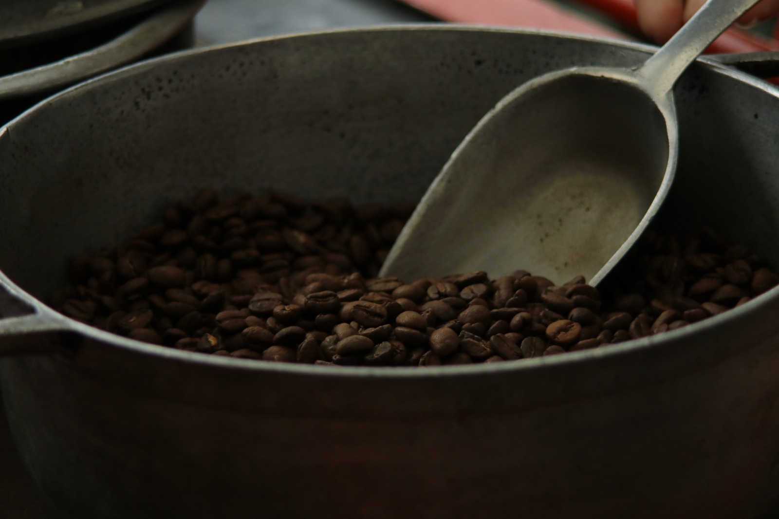 Café colombiano recién tostado, finca cafetera